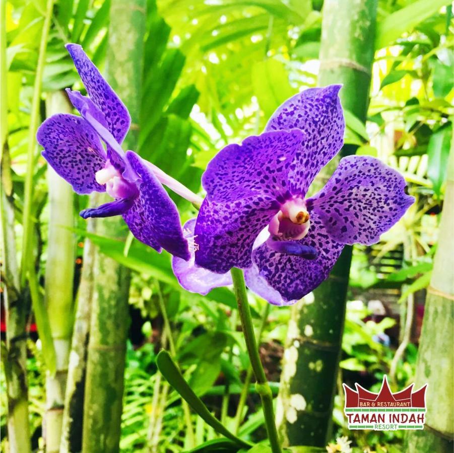 Tamanredjo Taman Indah Resort מראה חיצוני תמונה